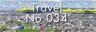 足利市島田町上空からの眺め